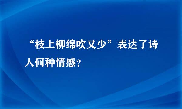 “枝上柳绵吹又少”表达了诗人何种情感？