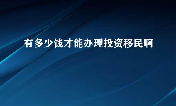 有多少钱才能办理投资移民啊