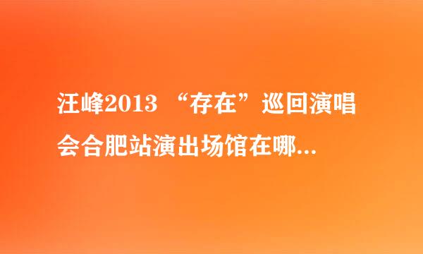 汪峰2013 “存在”巡回演唱会合肥站演出场馆在哪里？？？