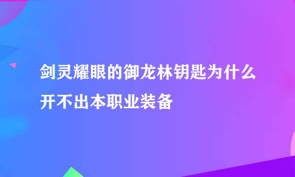 剑灵耀眼的御龙林钥匙为什么开不出本职业装备