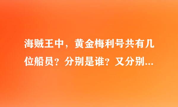 海贼王中，黄金梅利号共有几位船员？分别是谁？又分别有什么特点？