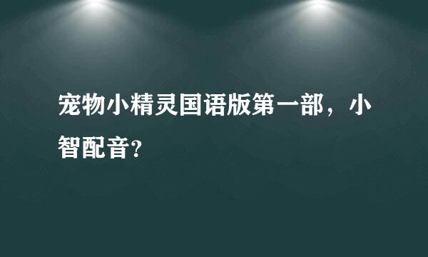 宠物小精灵国语版第一部，小智配音？