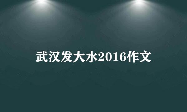 武汉发大水2016作文