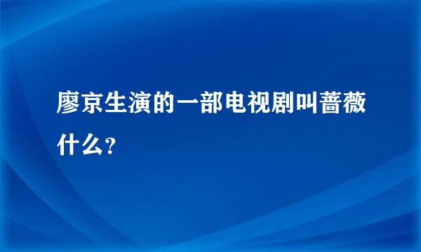 廖京生演的一部电视剧叫蔷薇什么？