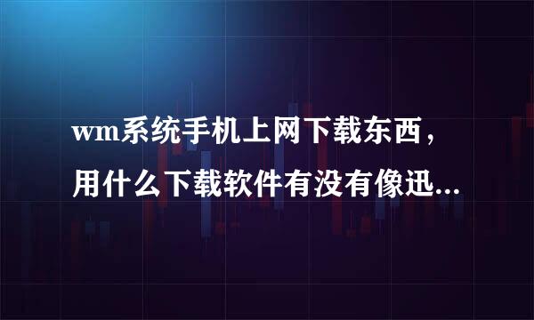 wm系统手机上网下载东西，用什么下载软件有没有像迅雷什么的软件能