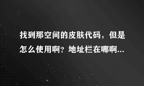 找到那空间的皮肤代码，但是怎么使用啊？地址栏在哪啊？能详细点的告诉我吗？