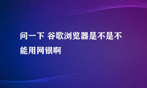 问一下 谷歌浏览器是不是不能用网银啊