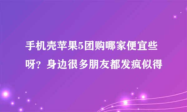 手机壳苹果5团购哪家便宜些呀？身边很多朋友都发疯似得