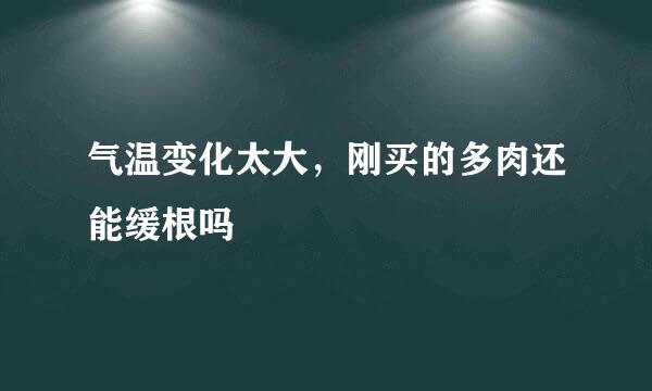 气温变化太大，刚买的多肉还能缓根吗