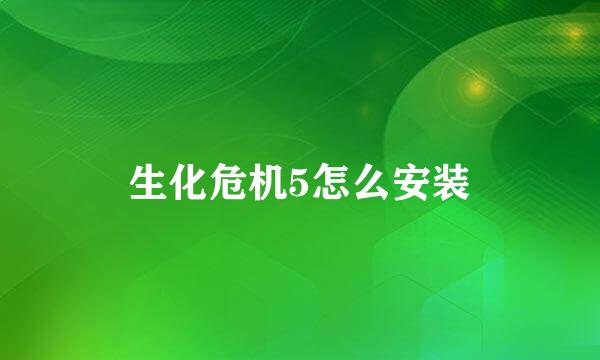 生化危机5怎么安装