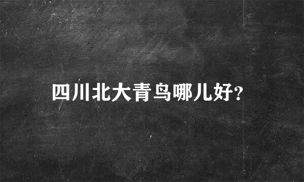 四川北大青鸟哪儿好？