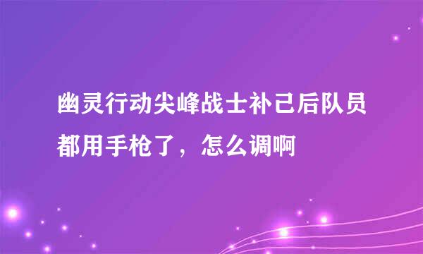 幽灵行动尖峰战士补己后队员都用手枪了，怎么调啊