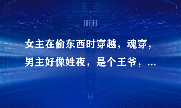 女主在偷东西时穿越，魂穿，男主好像姓夜，是个王爷，结局女主回到现