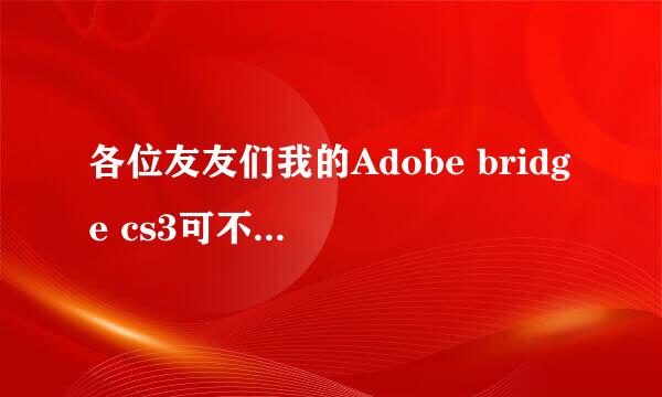 各位友友们我的Adobe bridge cs3可不可以不安装？