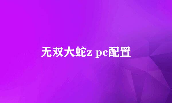 无双大蛇z pc配置