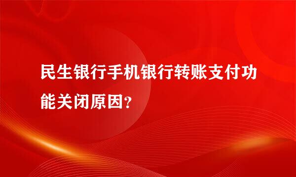 民生银行手机银行转账支付功能关闭原因？