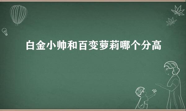 白金小帅和百变萝莉哪个分高