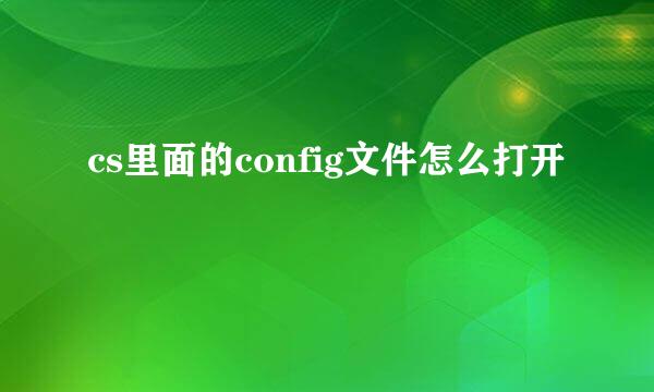 cs里面的config文件怎么打开