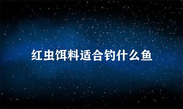 红虫饵料适合钓什么鱼