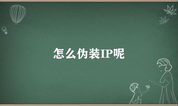 怎么伪装IP呢