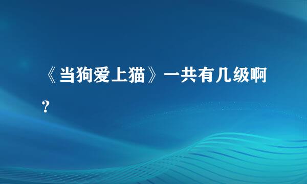 《当狗爱上猫》一共有几级啊？