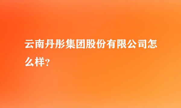 云南丹彤集团股份有限公司怎么样？