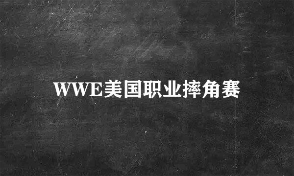 WWE美国职业摔角赛