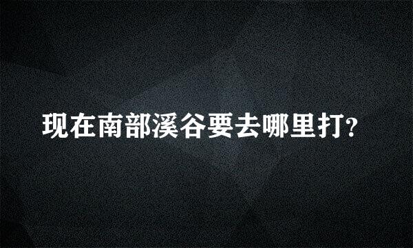 现在南部溪谷要去哪里打？