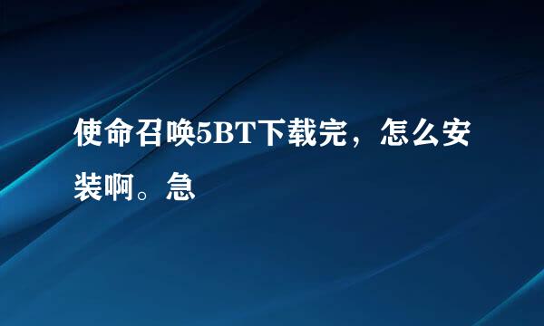 使命召唤5BT下载完，怎么安装啊。急