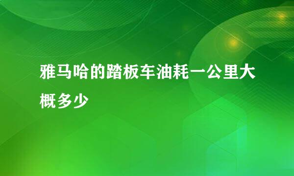 雅马哈的踏板车油耗一公里大概多少