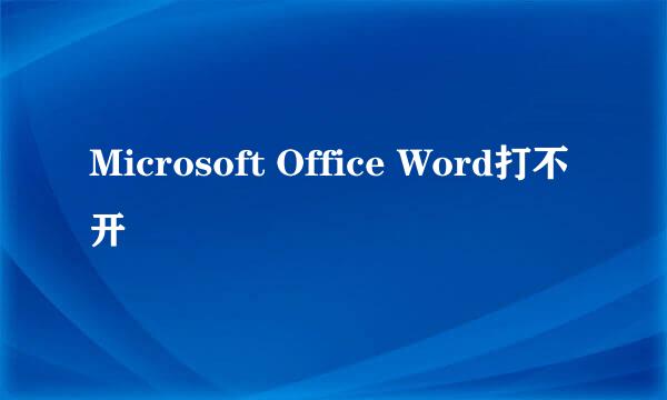 Microsoft Office Word打不开