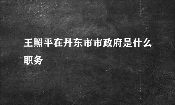 王照平在丹东市市政府是什么职务