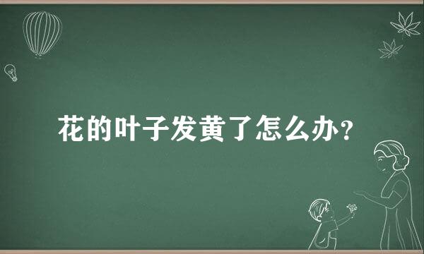 花的叶子发黄了怎么办？