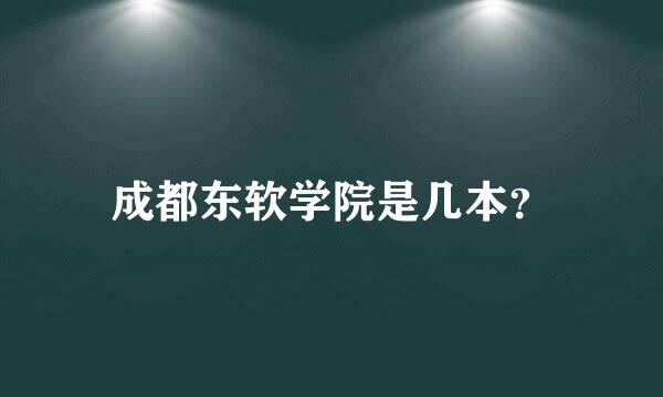 成都东软学院是几本？