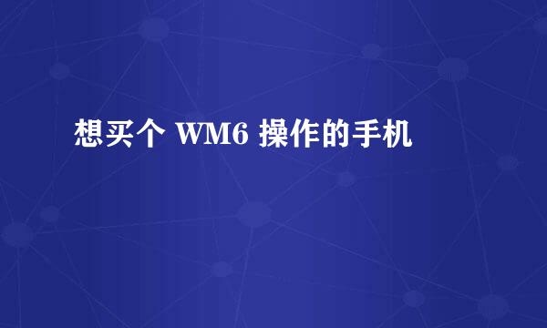 想买个 WM6 操作的手机