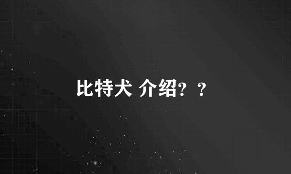 比特犬 介绍？？