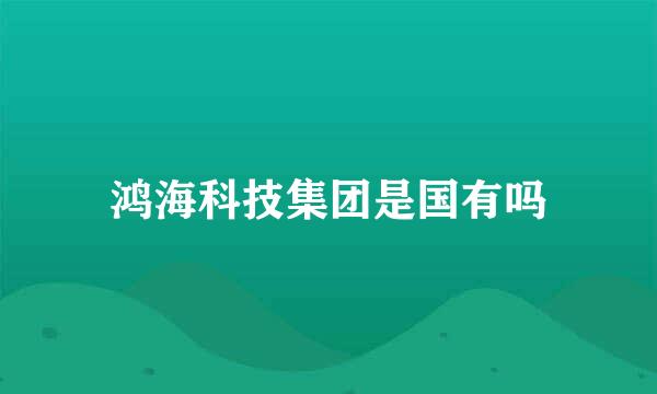 鸿海科技集团是国有吗