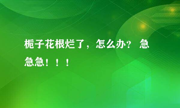 栀子花根烂了，怎么办？ 急急急！！！