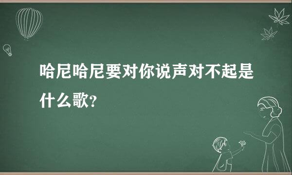 哈尼哈尼要对你说声对不起是什么歌？