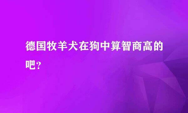 德国牧羊犬在狗中算智商高的吧？