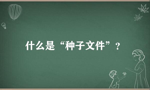 什么是“种子文件”？