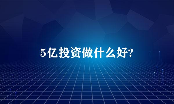 5亿投资做什么好?