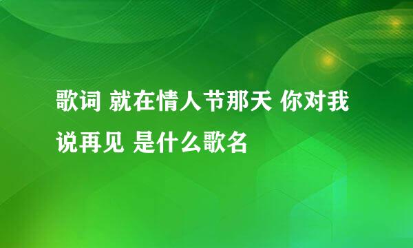 歌词 就在情人节那天 你对我说再见 是什么歌名