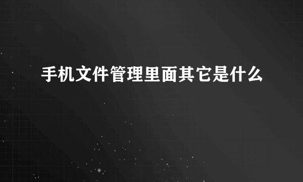 手机文件管理里面其它是什么