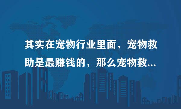 其实在宠物行业里面，宠物救助是最赚钱的，那么宠物救助是怎么赚钱的呢？