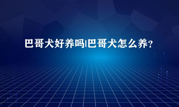 巴哥犬好养吗|巴哥犬怎么养？