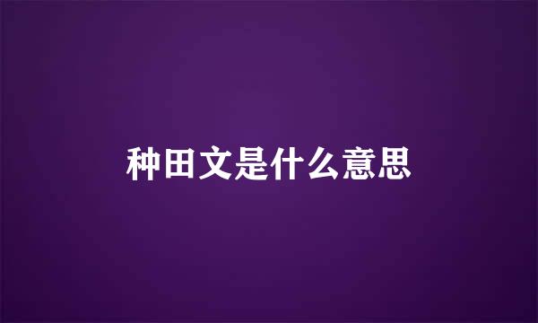 种田文是什么意思