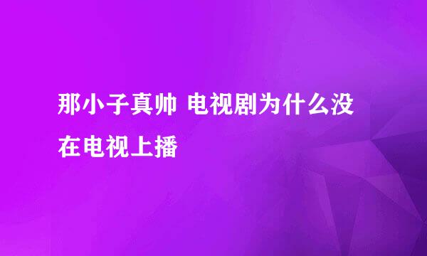 那小子真帅 电视剧为什么没在电视上播