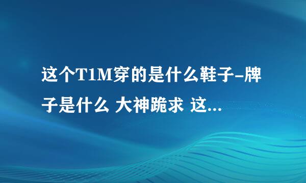 这个T1M穿的是什么鞋子-牌子是什么 大神跪求 这双鞋叫什么和牌子~~