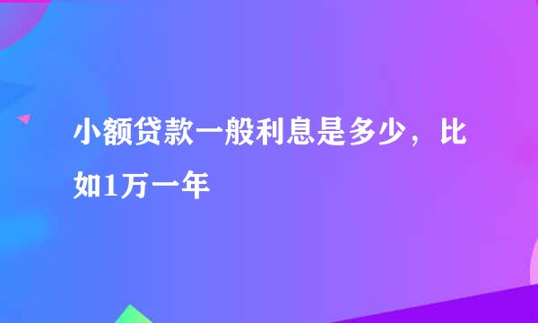 小额贷款一般利息是多少，比如1万一年